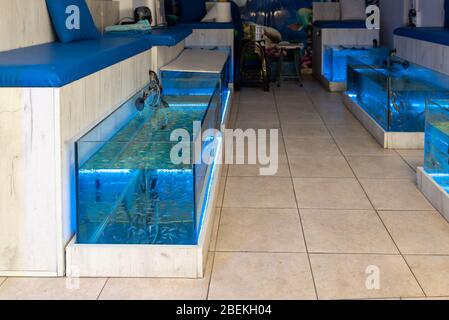 Pedicure fish spa. Aquarium with small fish for foot massage Wellness skin care treatment Stock Photo