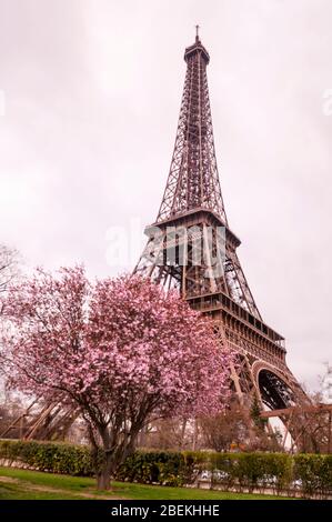 Eiffel Tower in Paris, France. Stock Photo