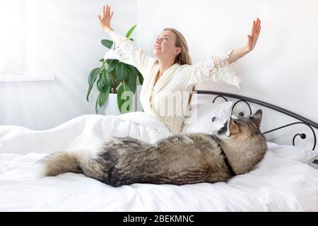 young smiling woman with blond hair in a light clothes lies on a white bed with a pet. spends time at home with her dog of the Siberian Husky breed. l Stock Photo
