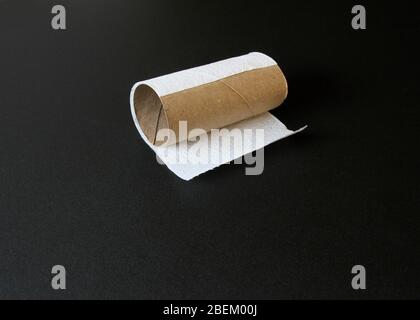 A final piece of toilet paper on the roll lies on a black background in a fine art style. Stock Photo