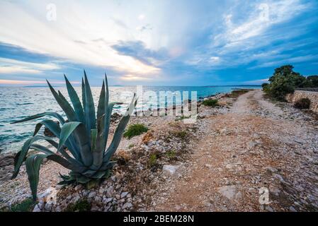 sunset on croatian stony beach Stock Photo