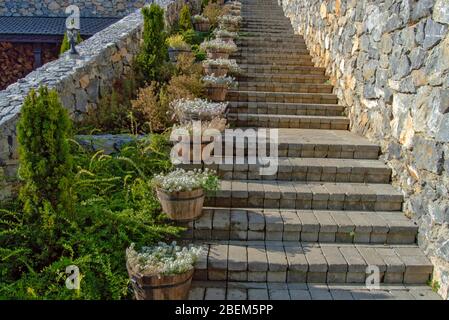 Old brick stairway, beautiful for walking on next to plants and nature, climbing stairs made of rock or cement, outdoor decoration ideas Stock Photo