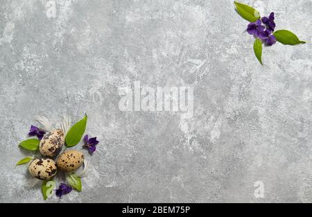 quail eggs pattern and green leaves on a gray background.  Stock Photo