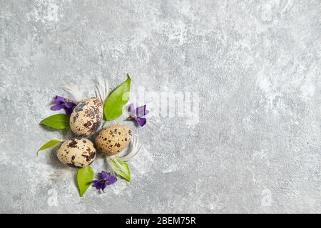 quail eggs pattern and green leaves on a gray background.  Stock Photo