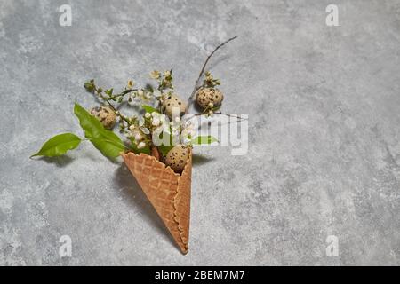 easter composition. quail eggs and green leaves in a waffle cone on a gray background. Spring concept Stock Photo