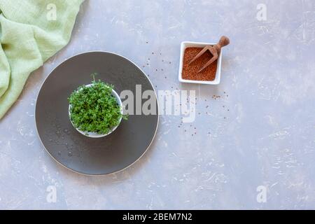 Watercress salad microgreens and its seeds on a plate. Close-up, top view on a light gray background Stock Photo