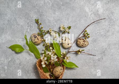 easter composition. quail eggs and green leaves in a waffle cone on a gray background. Spring concept Stock Photo