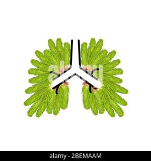 Branches of spruce, pine, needles shaped in form of human lungs. Conceptual human lungs icon. Stock Photo