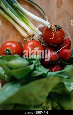 Shallow depth of field (selective focus) image with salad ingredients spring onions on a wooden cutter - spring onions, tomatoes, green salad, radishe Stock Photo