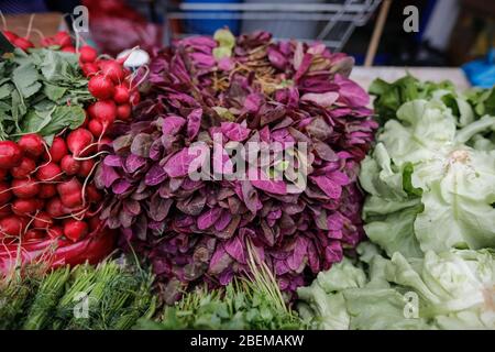Shallow depth of field (selective focus) image with orache spinach, green salad and radishes on sale in a vegetables street stall. Stock Photo