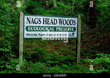 Entrance sign, Nags Head Woods Preserve, North Carolina Stock Photo