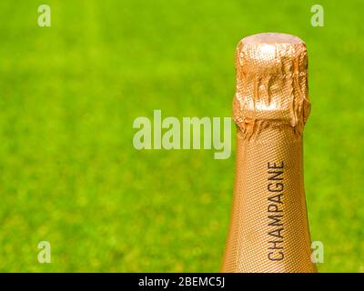 Gold foil covered top of an unopened bottle champagne against a plain green background. Space for copy left. Stock Photo