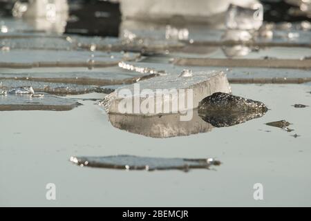 Breaking ice in water river. The ice is near the shore close-up. Stock Photo