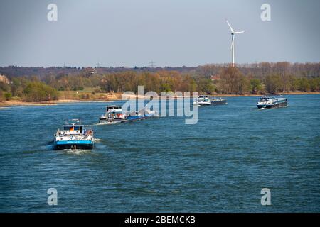 Cargo ships on the Rhine near Rees, Lower Rhine, Germany, Stock Photo