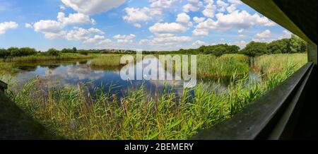 A panorama of the view from a bird hide of the marsh land at Westhay Moor Nature Reserve, Somerset, England, UK