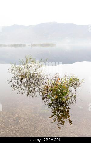 Reflections on Derwent Water, Lake District, Cumbria, England, UK Stock Photo