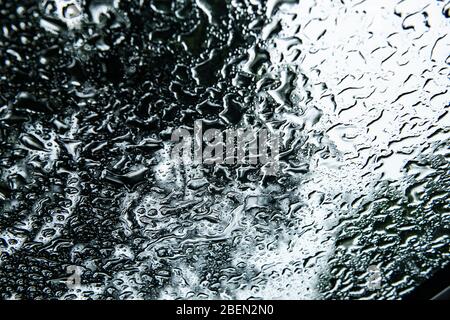Raindrops Pooling on a Windshield in Forest Scene Stock Photo