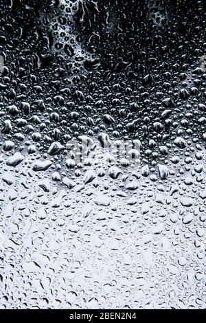 Raindrops Pooling on a Windshield in Forest Scene Stock Photo