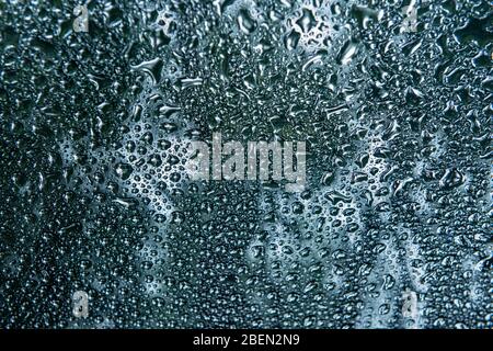 Raindrops Pooling on a Windshield in Forest Scene Stock Photo