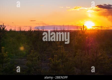 Sunset against the backdrop of large obese clouds.  Stock Photo