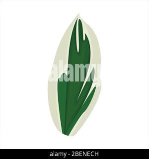 Botanical leaf clip art natural illustration Stock Vector