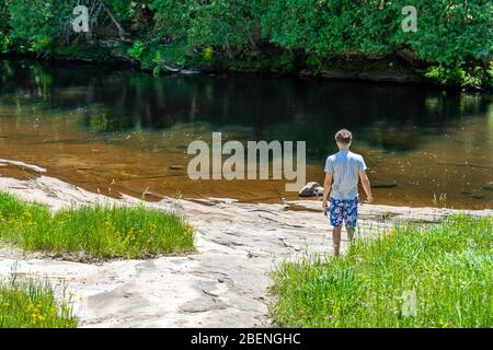 North Kawarthas Provincial Park  Algonquin Highlands Ontario Canada in summer Stock Photo