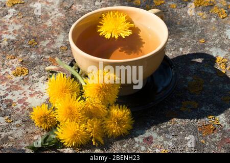 Fresh homemade detox tea from dandelions on a metal table in the garden Stock Photo