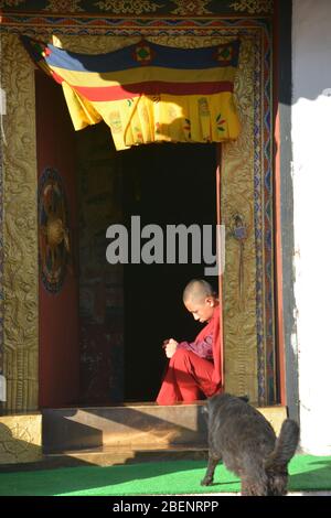 A young monk sits in the entrance doorway of Chimi Lhakhang, or fertility temple, near Punakha, Bhutan, which dates from 1499. Stock Photo