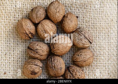 Drying off walnuts in the Autumn so they store correctly over the coming months. Stock Photo