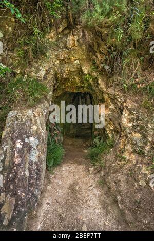 Adit entrance to underground gold mine tunnel in Karangahake Gorge ...