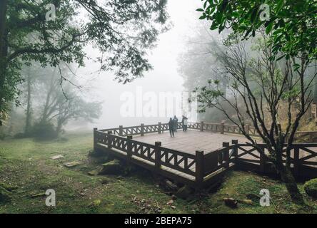 Tourist group standing on Wooden platform with Cedar trees and fog in the background in the forest in Alishan National Forest Recreation Area. Stock Photo