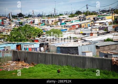 shacks in informal settlement in khayelitsha township, cape town, south ...