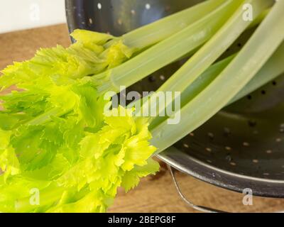 Washed celery stems with leaves in a stainless steel colander on a wooden chopping board Stock Photo