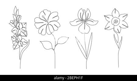 Set of flowers Stock Vector