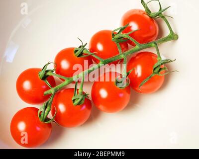 Vittoria cherry tomatoes on the vine in a bowl Stock Photo