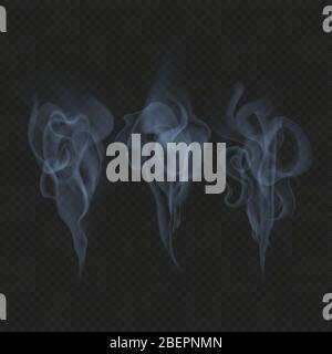 Delicate realistic smoke, fog or mist waves transparent effect. Just drop to artboard and enjoy EPS 10 Stock Vector