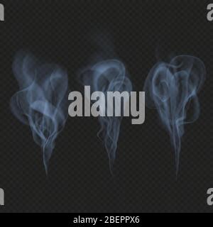 Delicate realistic smoke, fog or mist waves transparent effect. Just drop to artboard and enjoy EPS 10 Stock Vector