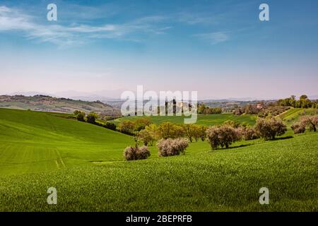 Panorama of the rolling green countryside hills of Passo Ripe, near Senigallia, Le Marche, Italy with the mountains in the distance Stock Photo