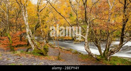 Autumn Lake North Wales Stock Photo