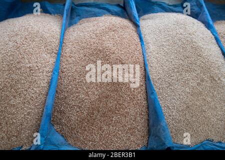 Bhutan, Thimphu. Local Farmer's Market. Detail of rice vendor display showing different varieties including traditional red rice. Stock Photo