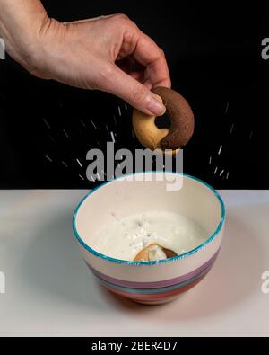 A female hand throws two-tone round biscuits into a cup of milk, splashing the liquid, on a black and white background Stock Photo