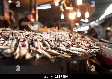 Sardine or anchovy fishes on the counter in the fish bazaar. Stock Photo