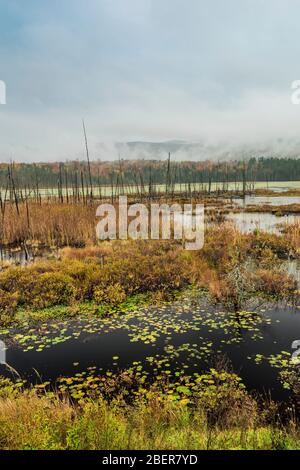 Autumn on Shaw Pond, Long Lake, Hamilton County, NY Stock Photo