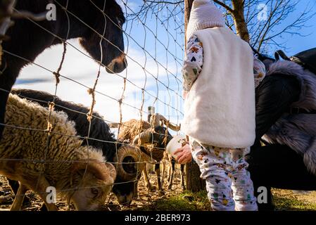 Two year old girl mother in farmland feeding farm animals Stock Photo