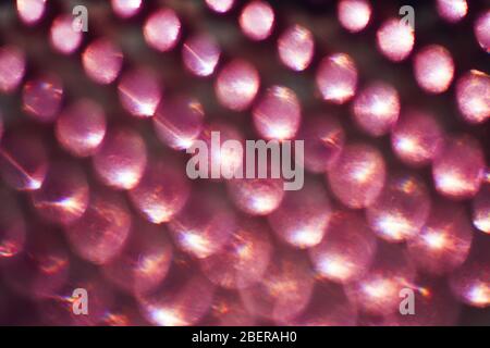Pink light leaks Stock Photo