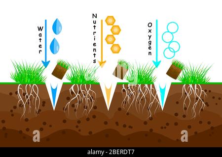 Lawn aeration. Lawn grass care service, gardening and landscape design. Lawn and turf maintenance. For article, infographics instruction. Stock vector Stock Vector