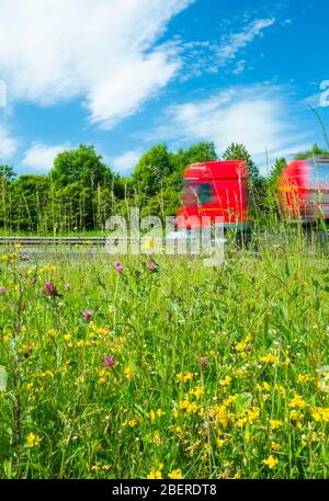 Wildflowers and grasses on dual carriageway roadside. UK Stock Photo