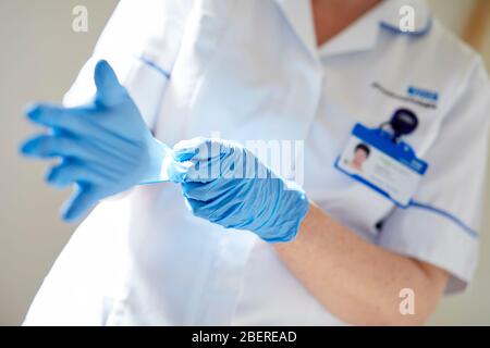 Nurse putting on vinyl gloves Stock Photo