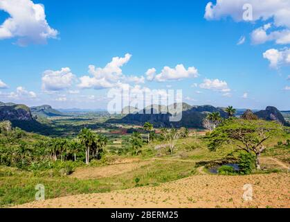 vinales-valley-landscape-from-