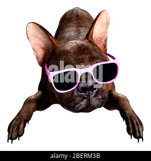 3D rendering of a brindle French bulldog in a pink sunglasses isolated on white background Stock Photo